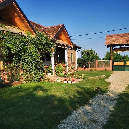 Apartament Amanet House Zasavica Zewnętrze zdjęcie