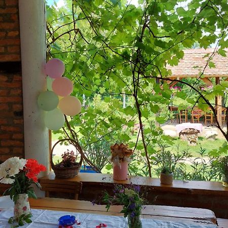 Apartament Amanet House Zasavica Zewnętrze zdjęcie