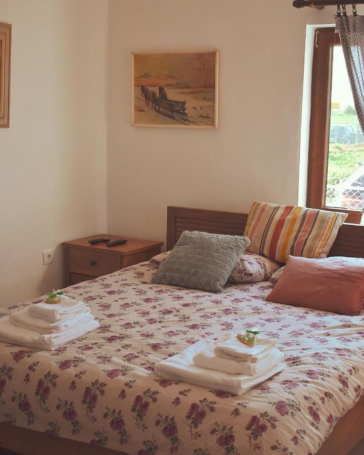Apartament Amanet House Zasavica Zewnętrze zdjęcie