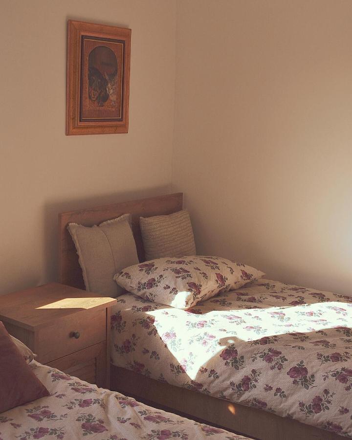 Apartament Amanet House Zasavica Zewnętrze zdjęcie