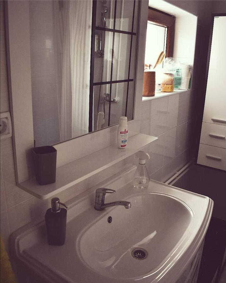 Apartament Amanet House Zasavica Zewnętrze zdjęcie