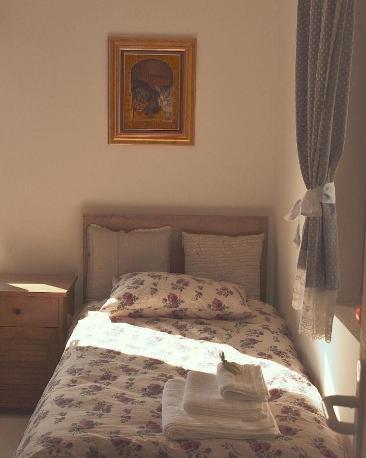 Apartament Amanet House Zasavica Zewnętrze zdjęcie