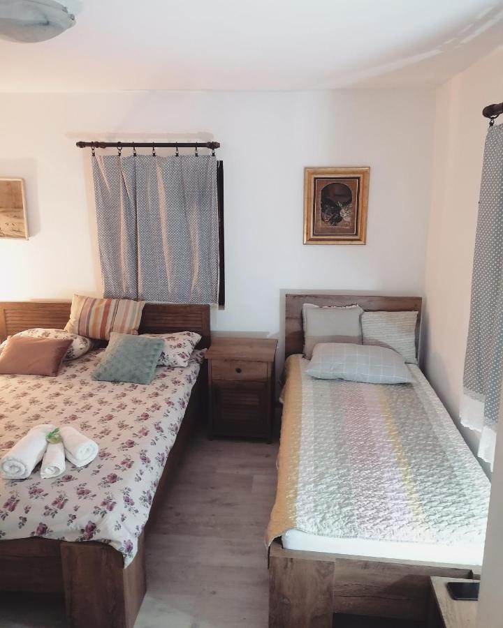 Apartament Amanet House Zasavica Zewnętrze zdjęcie