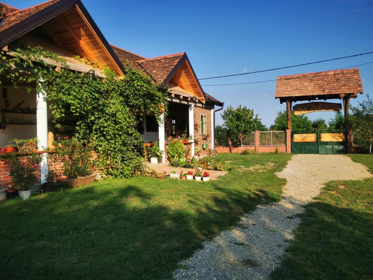 Apartament Amanet House Zasavica Zewnętrze zdjęcie