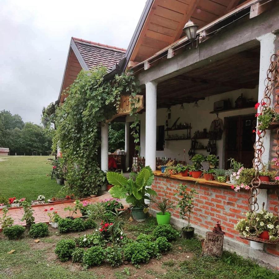 Apartament Amanet House Zasavica Zewnętrze zdjęcie