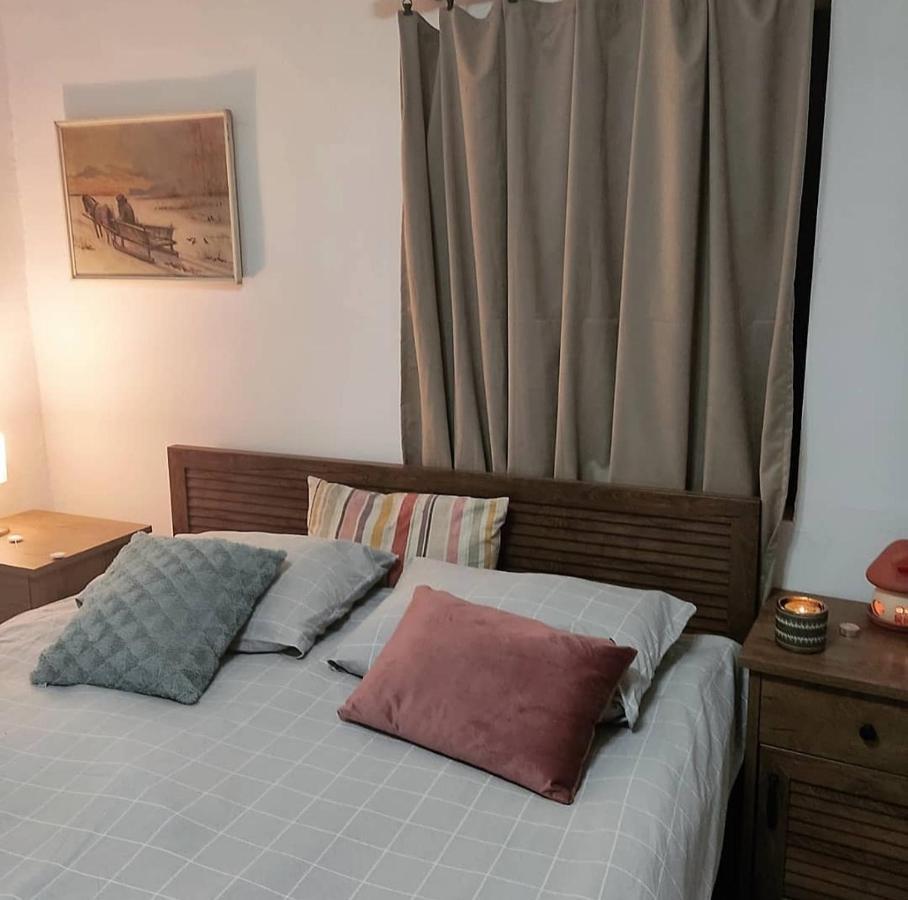 Apartament Amanet House Zasavica Zewnętrze zdjęcie
