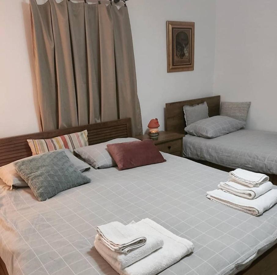 Apartament Amanet House Zasavica Zewnętrze zdjęcie