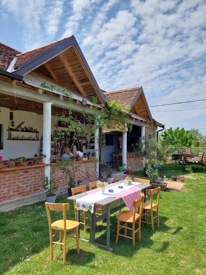 Apartament Amanet House Zasavica Zewnętrze zdjęcie