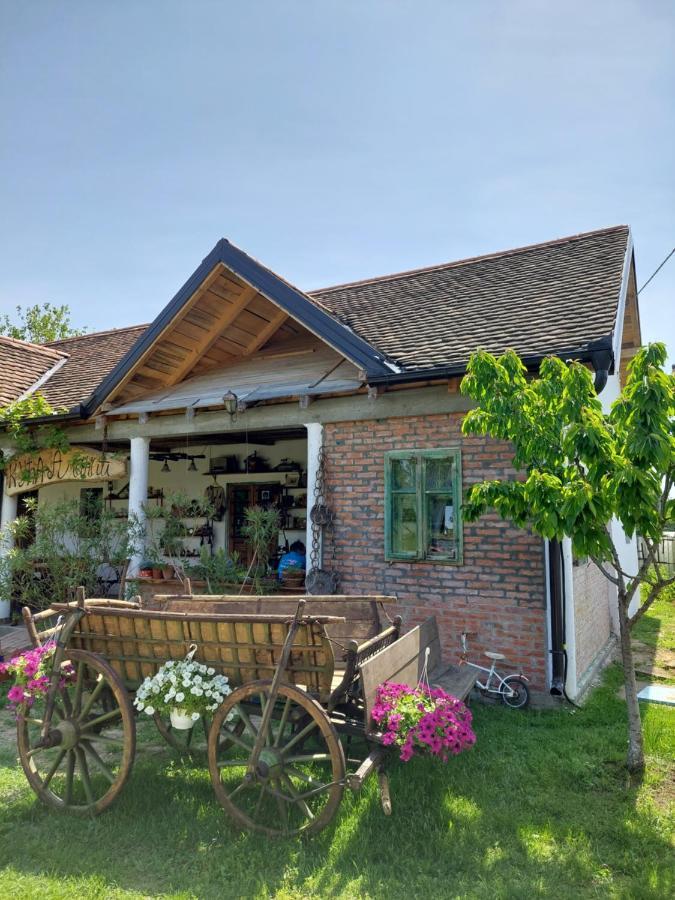 Apartament Amanet House Zasavica Zewnętrze zdjęcie